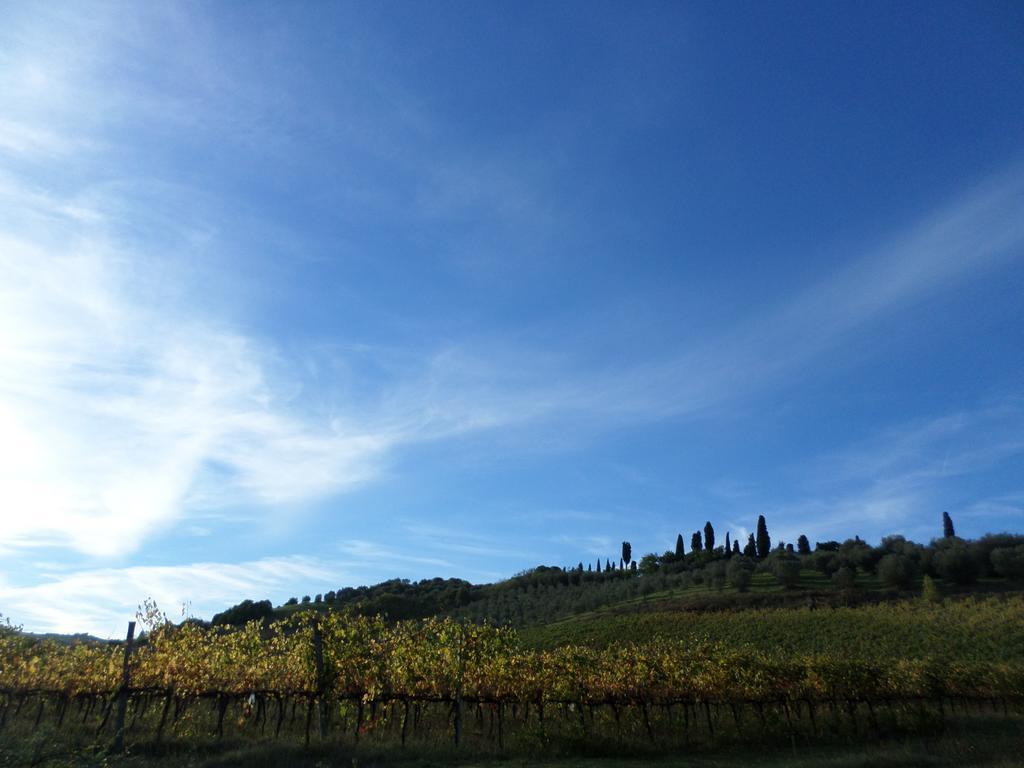 Tenuta Villa Rocchi Torrita di Siena Exteriör bild