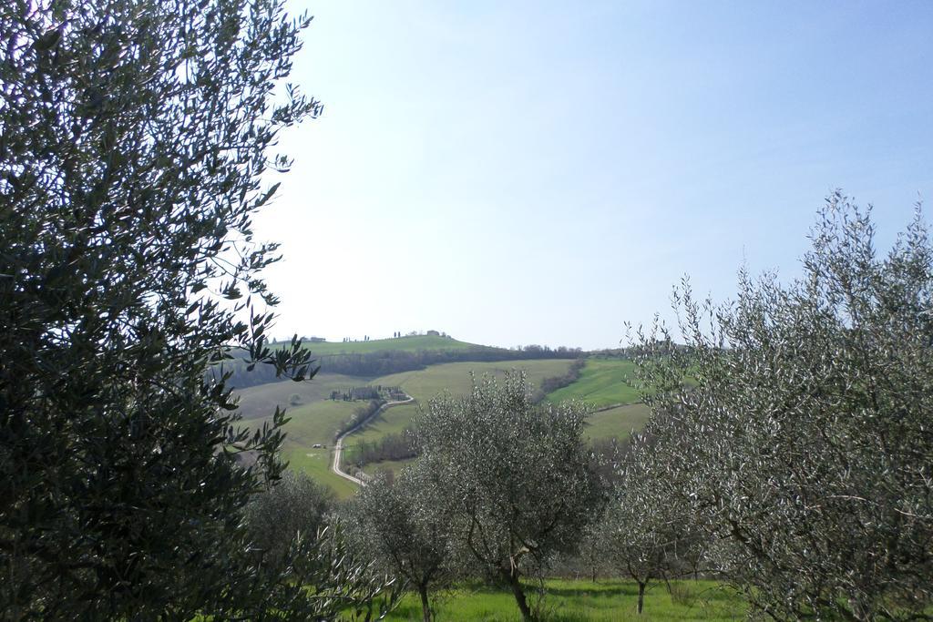 Tenuta Villa Rocchi Torrita di Siena Exteriör bild